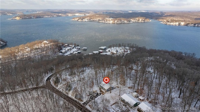 snowy aerial view with a water view