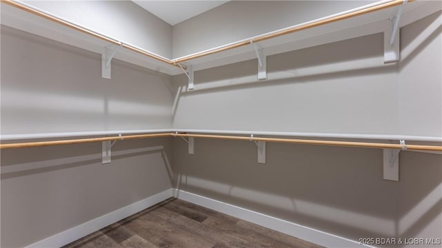 walk in closet featuring dark hardwood / wood-style floors