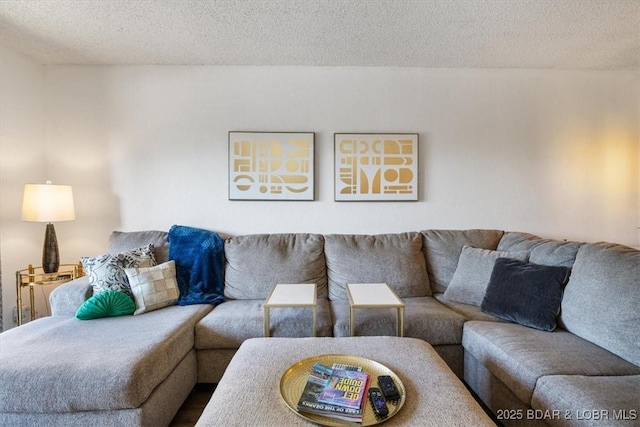 living room featuring a textured ceiling