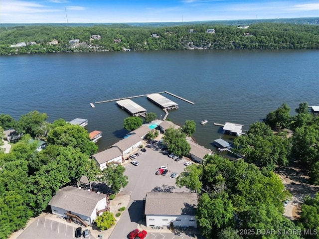 bird's eye view with a water view