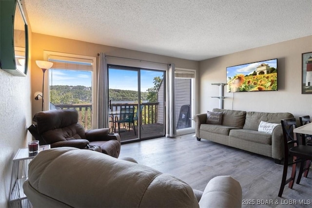 living room with a textured ceiling and hardwood / wood-style flooring