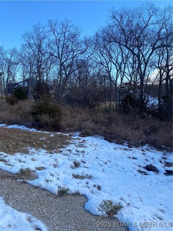 Listing photo 3 for LOT12 Witches Cove Blvd, Lake Ozark MO 65049