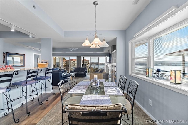 dining area featuring a chandelier and hardwood / wood-style floors