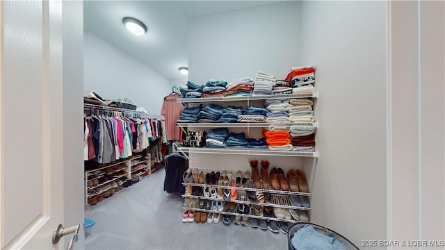 walk in closet featuring carpet floors