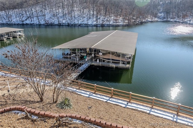 dock area with a water view