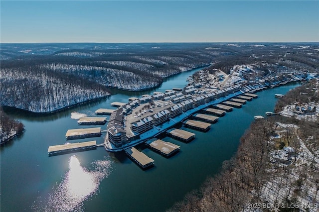 bird's eye view with a water view