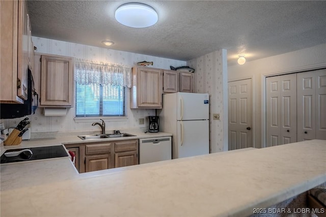 kitchen featuring white fridge, light brown cabinets, dishwasher, range, and sink