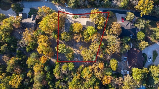 bird's eye view
