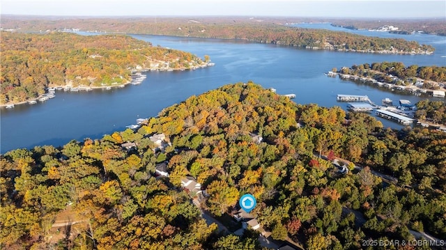 drone / aerial view featuring a wooded view and a water view