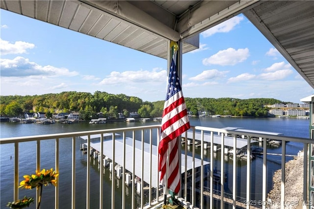 dock area with a water view