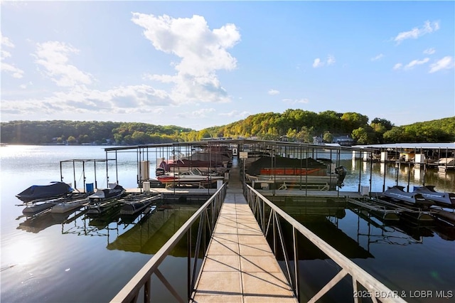 dock area with a water view