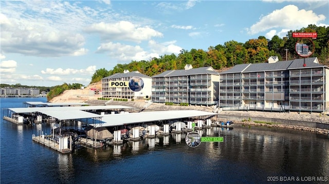 dock area with a water view