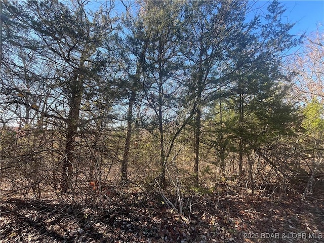 LOT255 Toronto Ln, Rocky Mount MO, 65072 land for sale