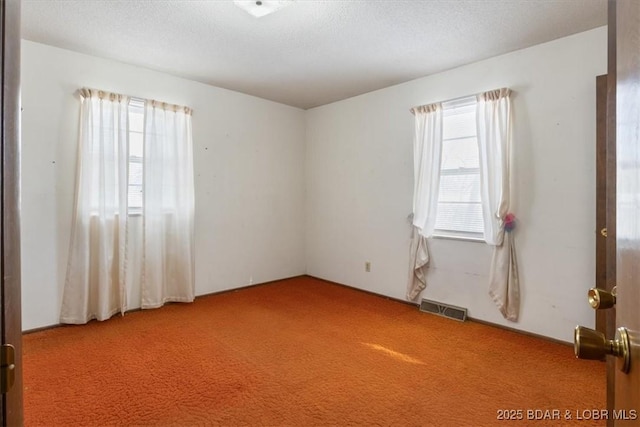 carpeted empty room with a textured ceiling and a healthy amount of sunlight