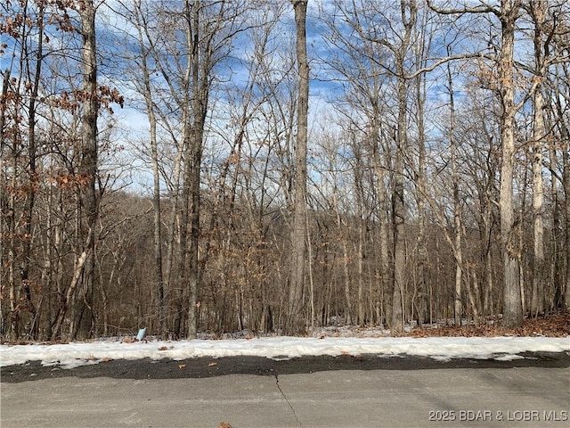 39 Bayhill Ct, Lake Ozark, MO 65049
