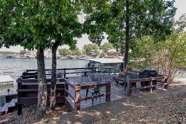 dock area with a water view