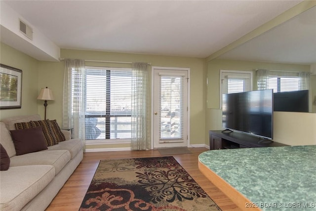 living room with hardwood / wood-style flooring and plenty of natural light