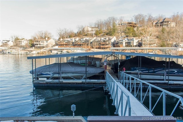 dock area with a water view