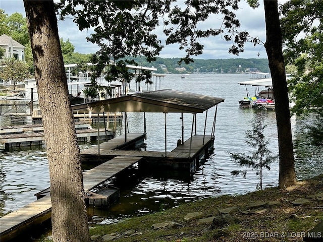 dock area with a water view