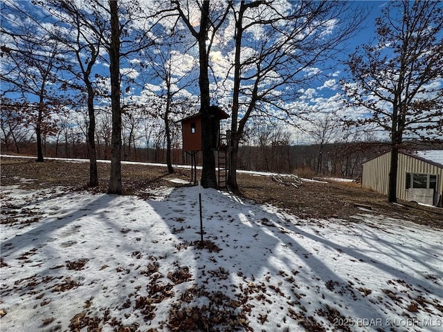 view of yard covered in snow