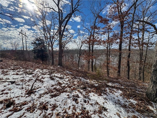 view of snowy landscape