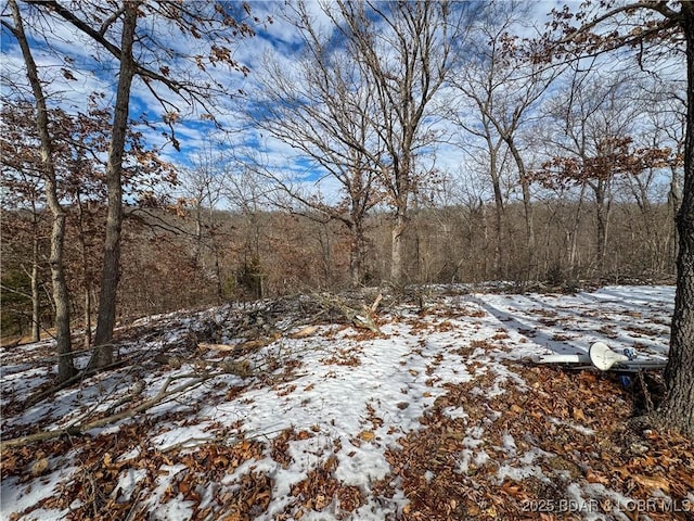 view of snow covered land with a view of trees