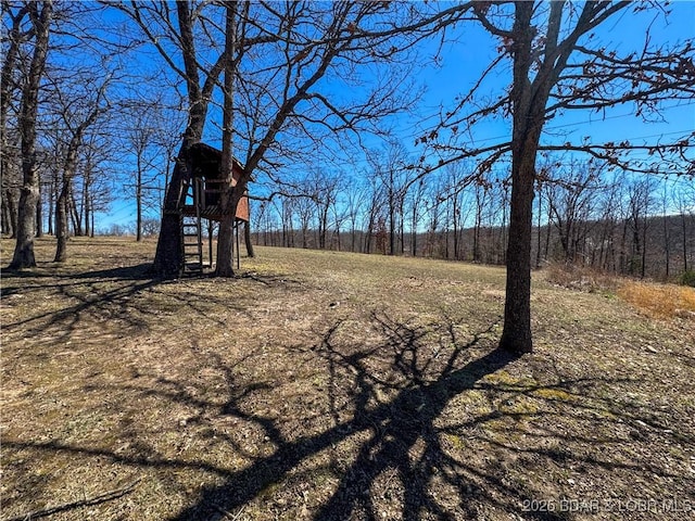 23731 Grant Rd, Barnett, MO 65011 - view of yard