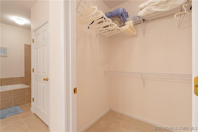 view of walk in closet