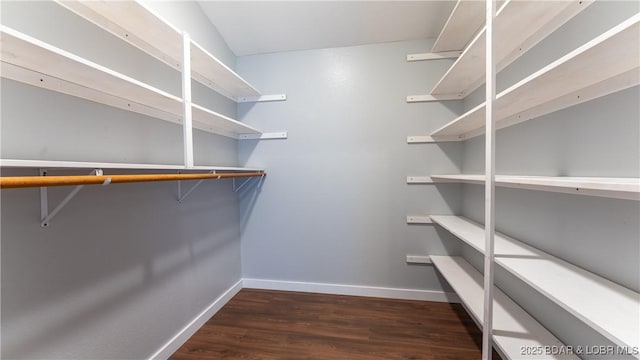 spacious closet featuring dark hardwood / wood-style floors