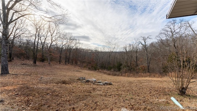 view of local wilderness