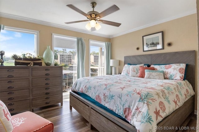 bedroom featuring ceiling fan, multiple windows, dark hardwood / wood-style flooring, and ornamental molding