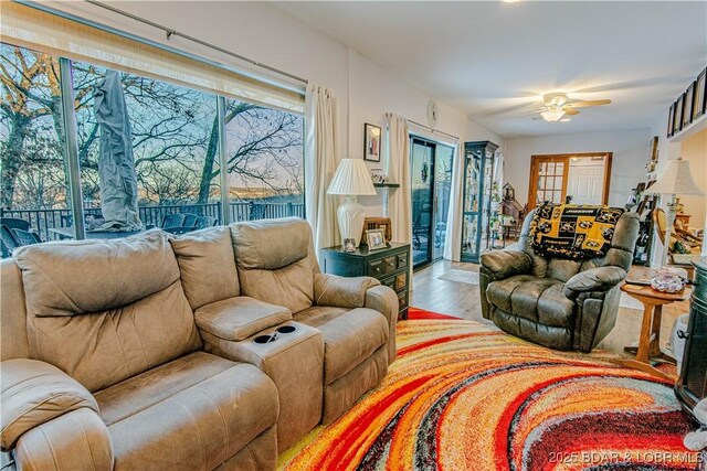 living room with ceiling fan and wood-type flooring