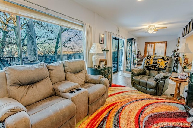 living area featuring a ceiling fan and wood finished floors