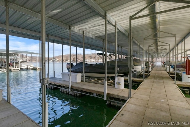 dock area with a water view