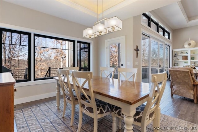 dining room featuring hardwood / wood-style flooring and a raised ceiling