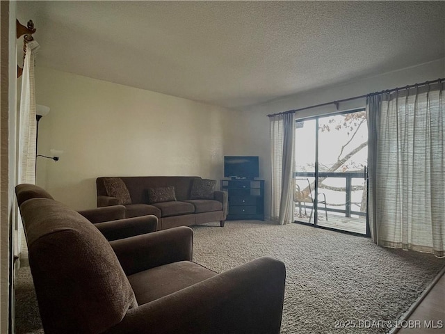 carpeted living room featuring a textured ceiling