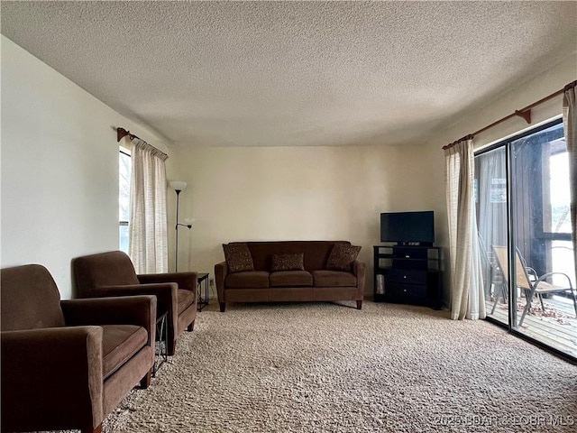 living room with a textured ceiling and carpet floors