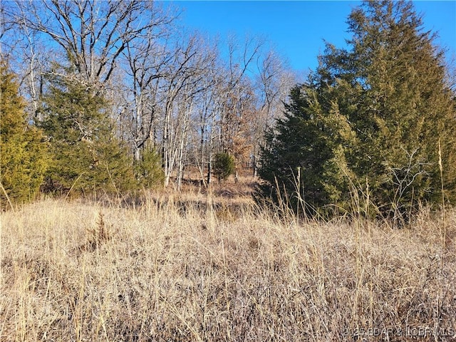 Neuharth Cir Unit 3856, Edwards, MO 65326