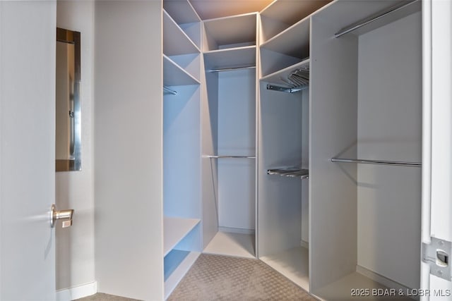 view of spacious closet