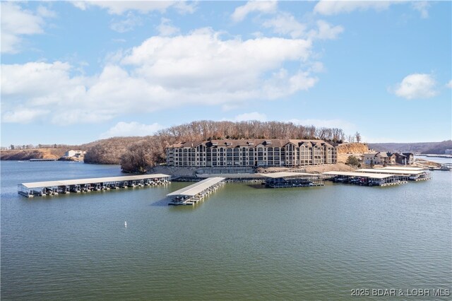 water view featuring a boat dock