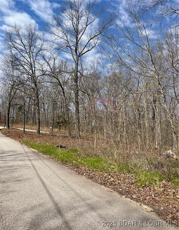 Listing photo 3 for TBD Wading Bird Rd, Camdenton MO 65020