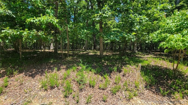 Listing photo 3 for LOT803 Muirfield Dr, Porto Cima MO 65079