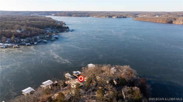 aerial view with a water view