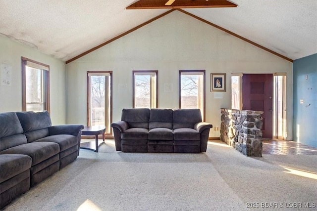 living room featuring light carpet, a wealth of natural light, and a textured ceiling