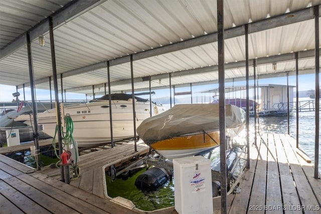 dock area with a water view