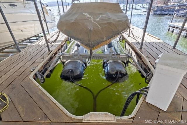 dock area with a water view