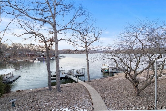 dock area with a water view