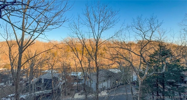 28 Treasure Cay, Osage Beach, MO 65065