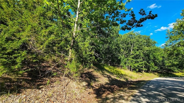 LOT253 Grand Cove Rd, Porto Cima MO, 65079 land for sale