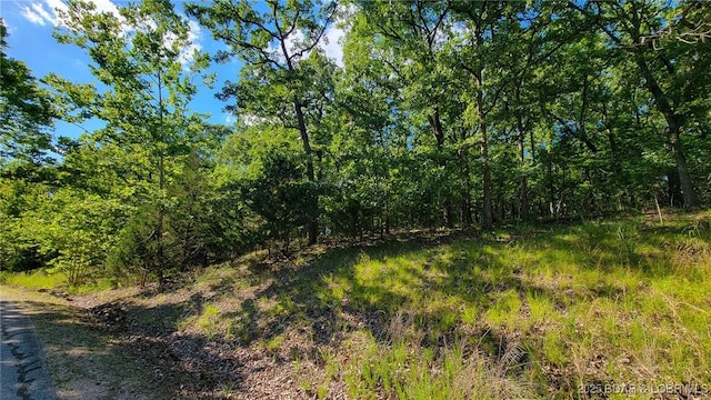 Listing photo 2 for LOT253 Grand Cove Rd, Porto Cima MO 65079